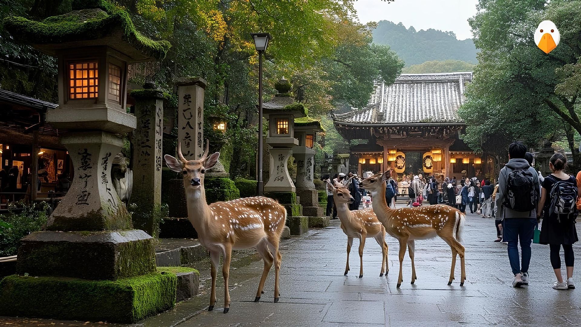 Author's tour "Maple blossoming in Japan" accompanied by Komilov Sardor - 2
