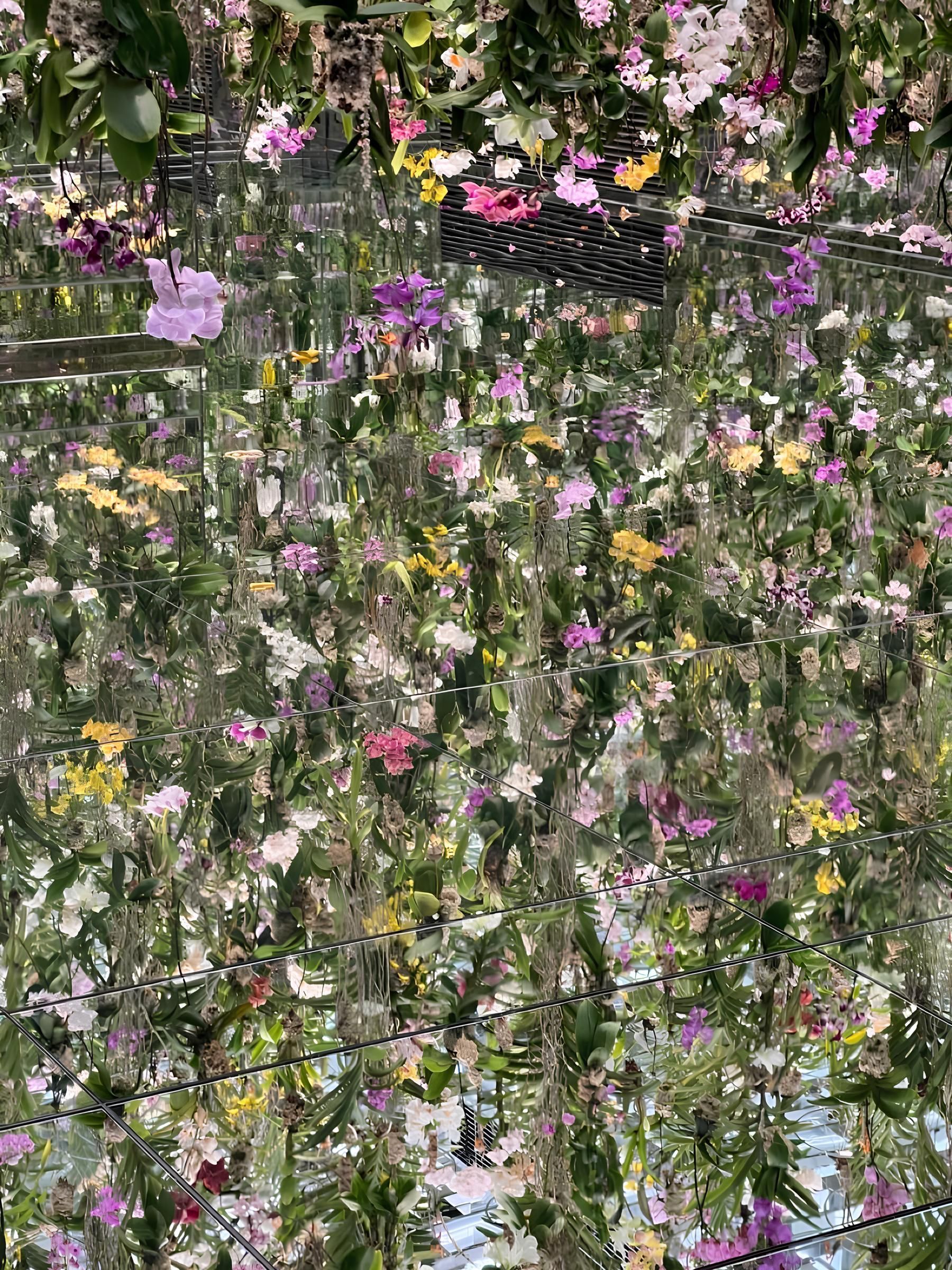 Author's tour "Maple blossoming in Japan" accompanied by Komilov Sardor - 4